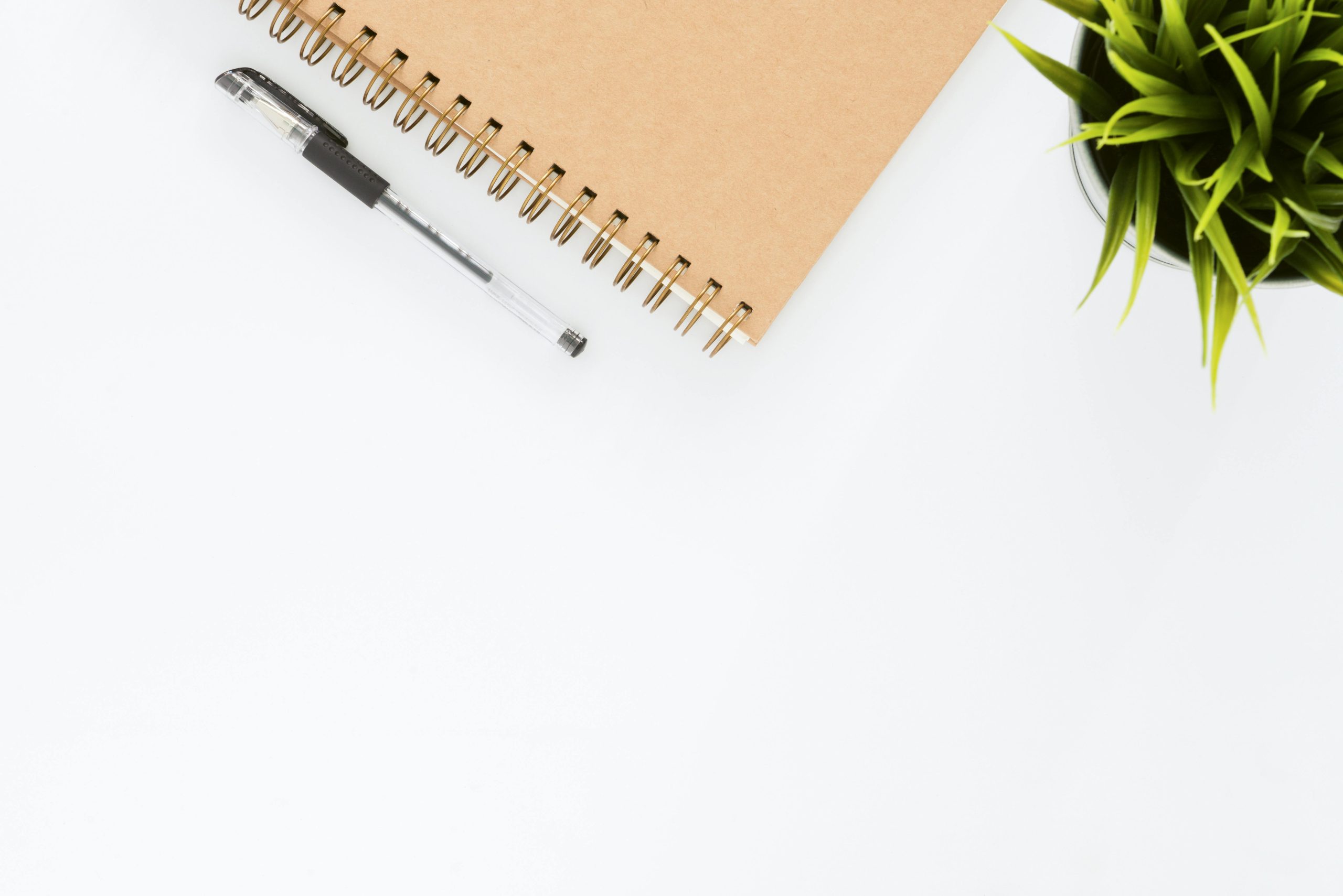 Essential Writing Package